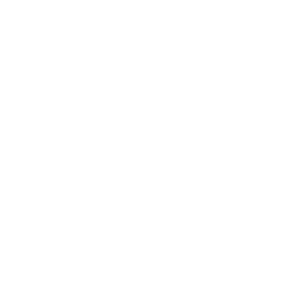 Lark Finserv